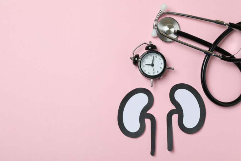 Papierfiguren von Nieren auf einem rosa Hintergrund, daneben eine Armbanduhr und ein Stethoskop.